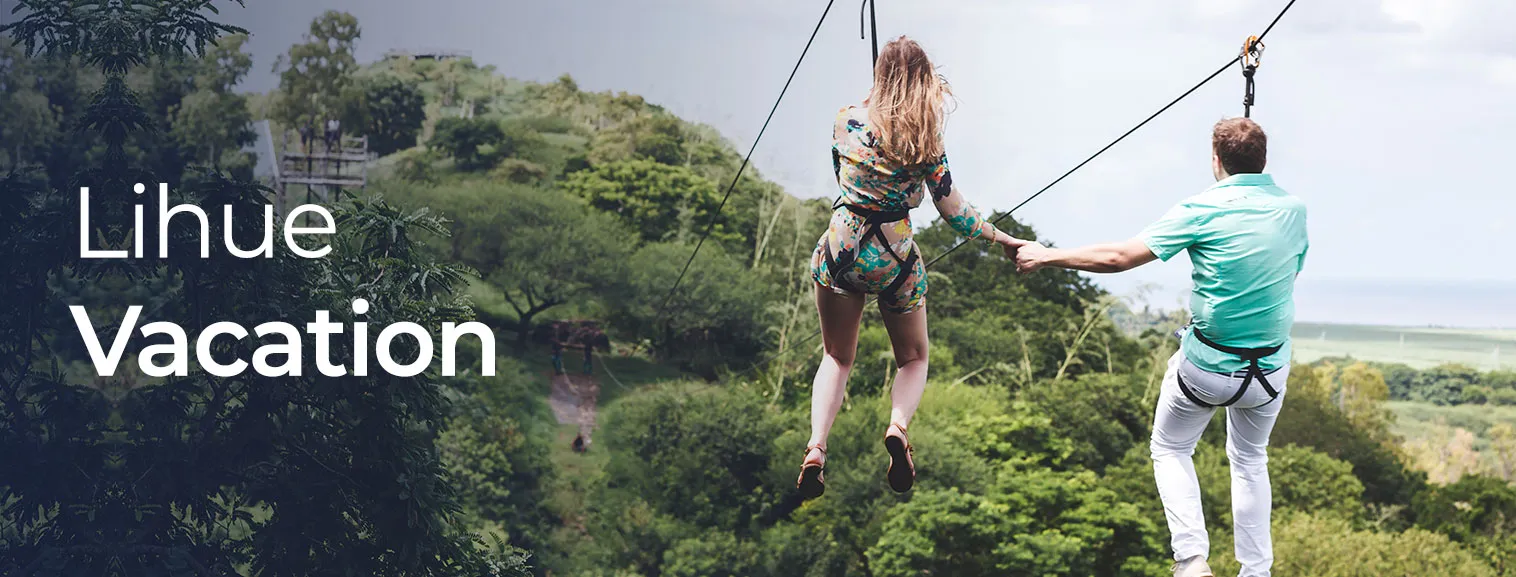 vaction banner